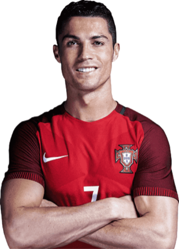 El bicho